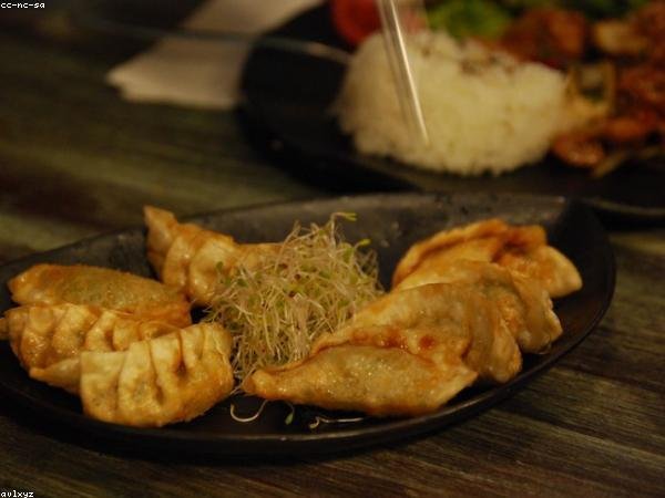 Gyozas (5u)